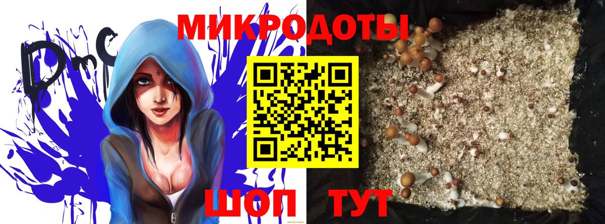 Галлюциногенные грибы Psilocybe  Галлюциногенные грибы Psilocybe  Калининград  Вход с VPN 
